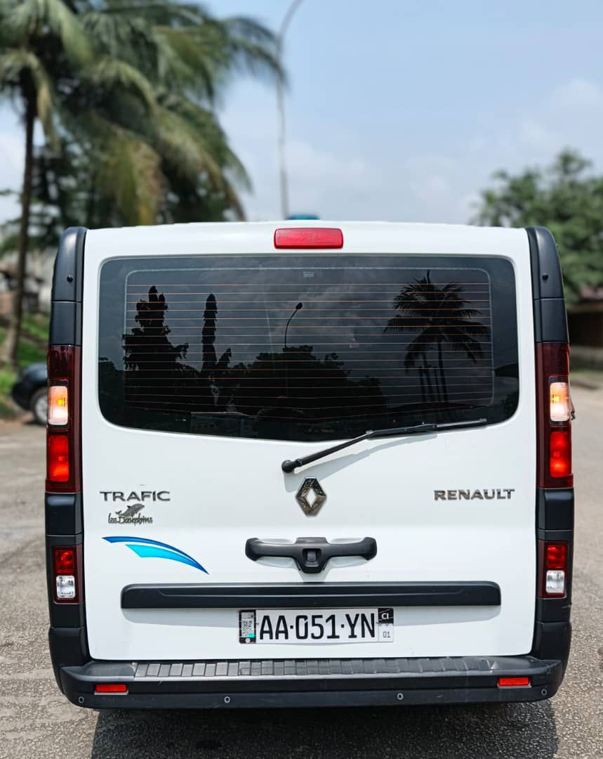 AMBULANCE RENAULT TRAFIC DE 2019 IMPORTÉ